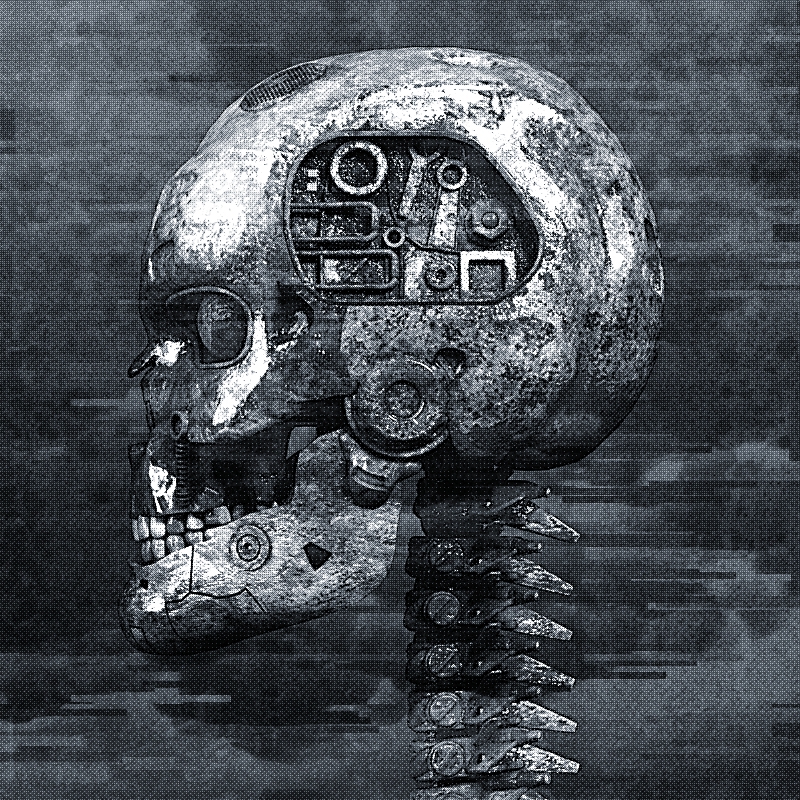 skull